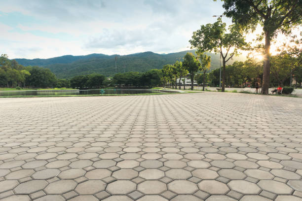 Best Residential Paver Driveway  in Ledbetter, KY